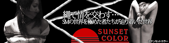サンセットカラー